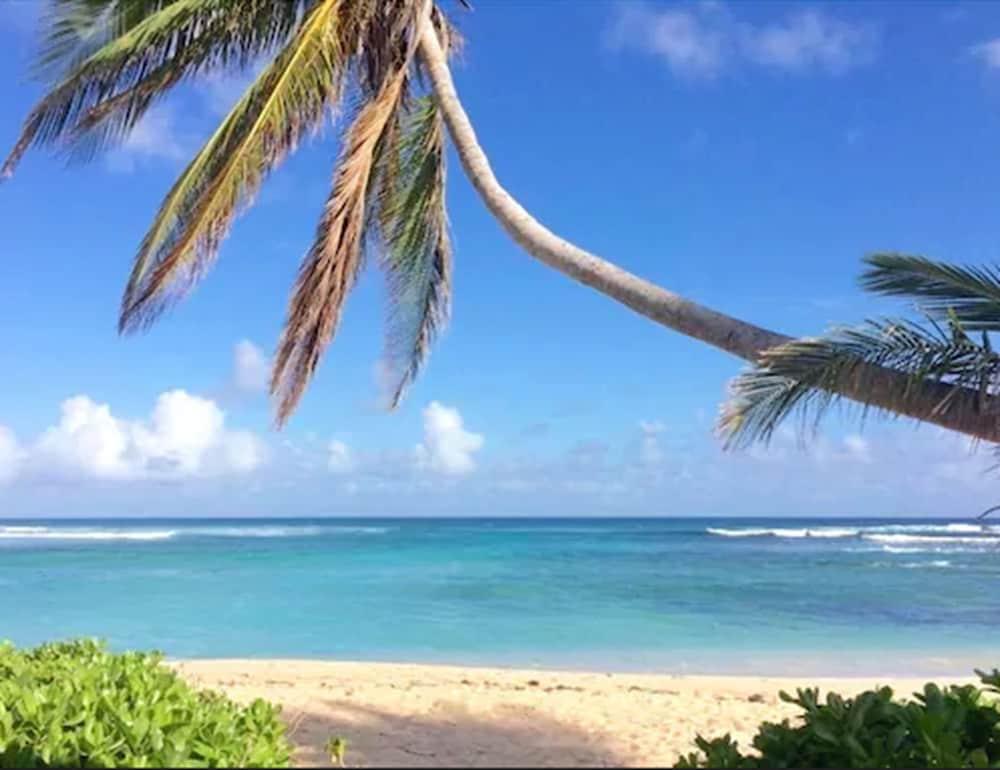 The Palms At Pelican Cove (Adults Only) La Grande Princesse Dış mekan fotoğraf