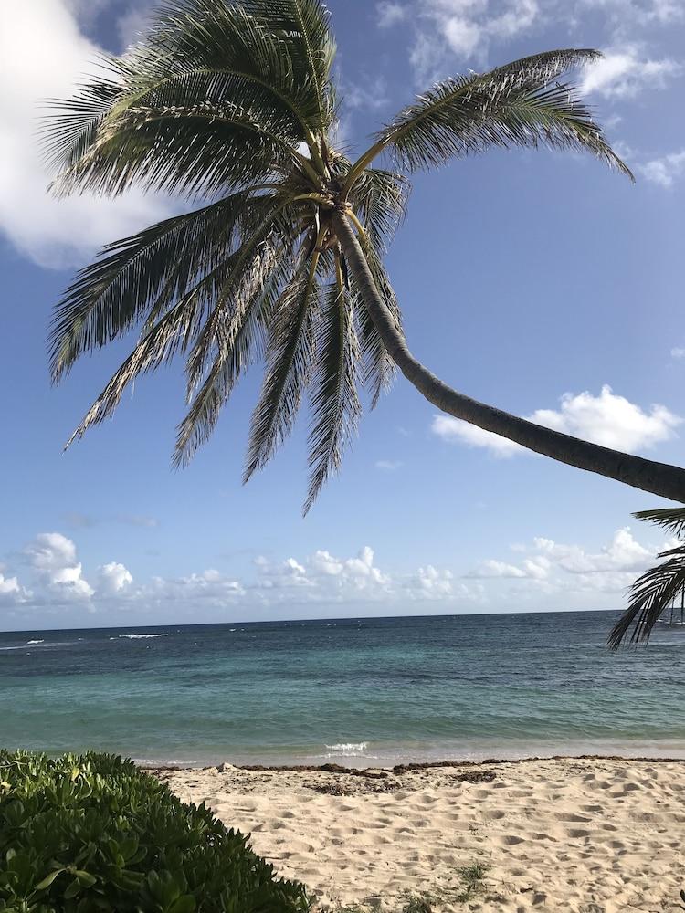 The Palms At Pelican Cove (Adults Only) La Grande Princesse Dış mekan fotoğraf